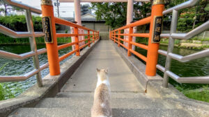 開運橋