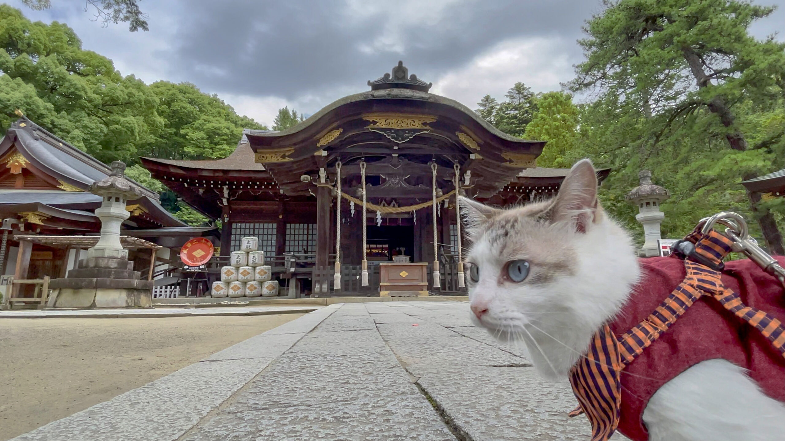 武田神社