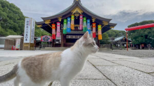 真清田神社