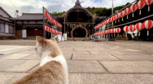 本郷熊野神社