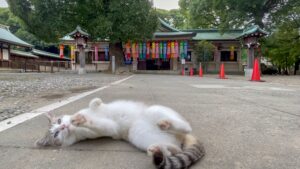 服織神社