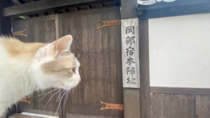 岡部宿本陣趾