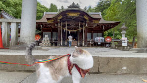 武田神社