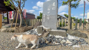 星に願いを