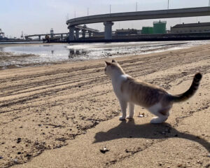 高松海岸