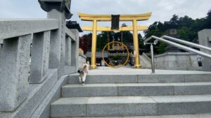 幸福の鳥居