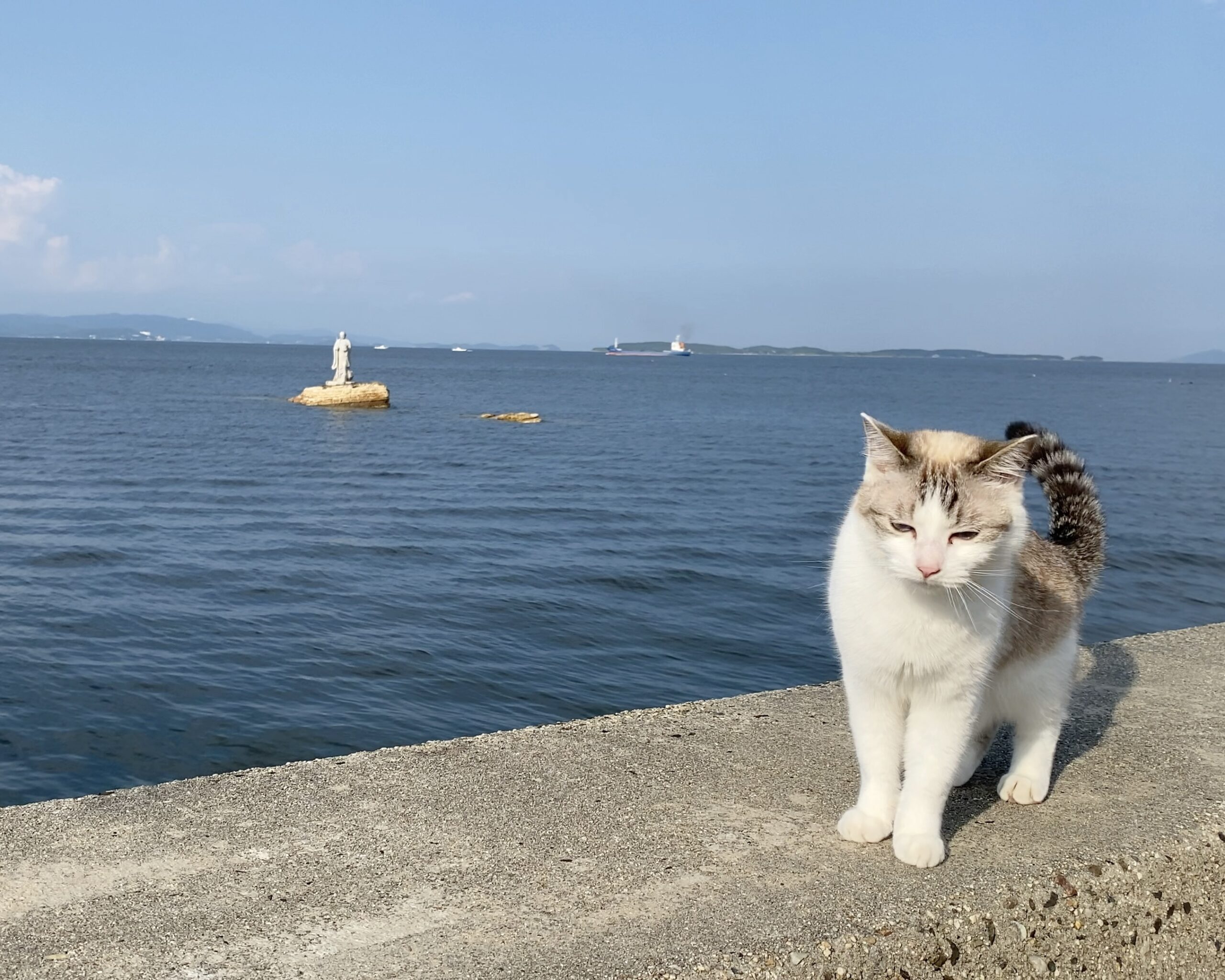 上陸大師像