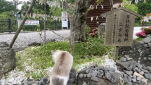 秋葉山本宮秋葉神社