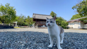 知里付神社